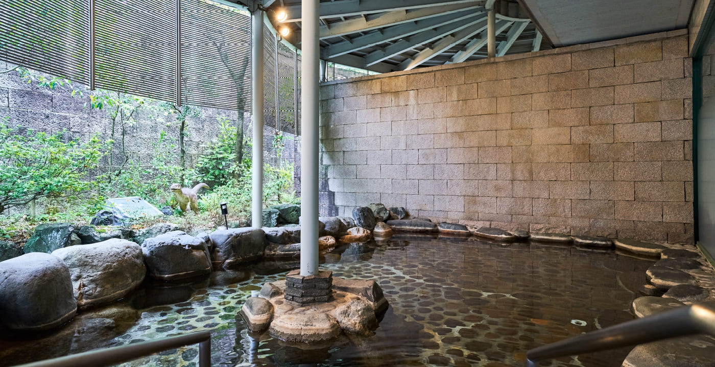 Katsuyama New Hotel Large Public Bath