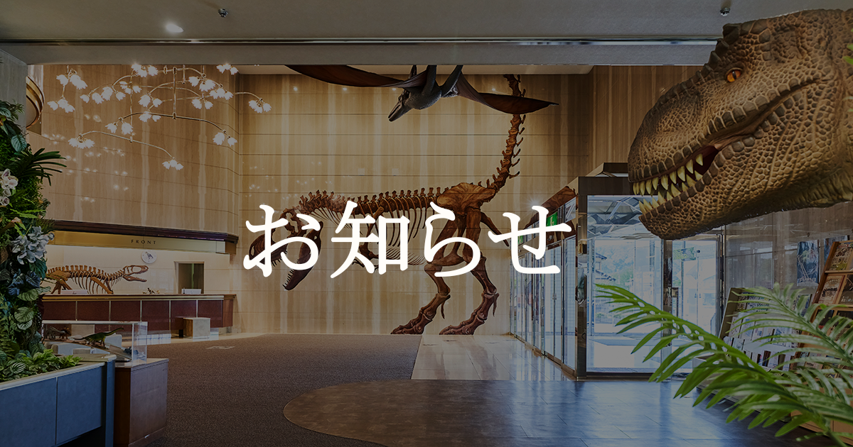 【今年も開催！】室数限定！恐竜博物館プレミアムナイトミュージアムツアープラン販売のお知らせ！！