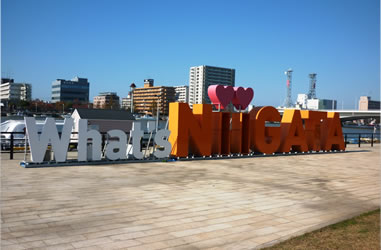 What's Niigata!